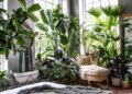 What plants are best for a lush indoor garden? | Livingetc