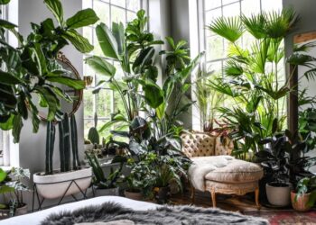 What plants are best for a lush indoor garden? | Livingetc