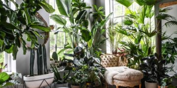 What plants are best for a lush indoor garden? | Livingetc