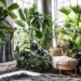 What plants are best for a lush indoor garden? | Livingetc
