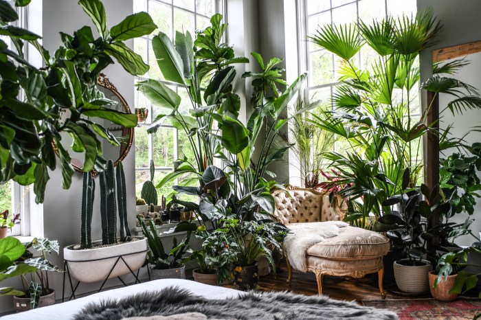What plants are best for a lush indoor garden? | Livingetc What plants are best for a lush indoor garden? | Livingetc